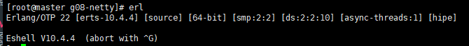 check erlang version
